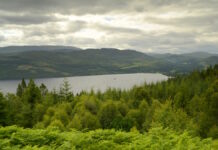 Affric & Loch Ness National Park bid launched