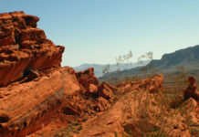 Want to host the 2028 World Trails Conference?