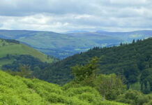 North Wales Together: Walking events to celebrate Learning Disability Awareness Week