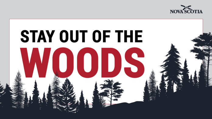 NS woods