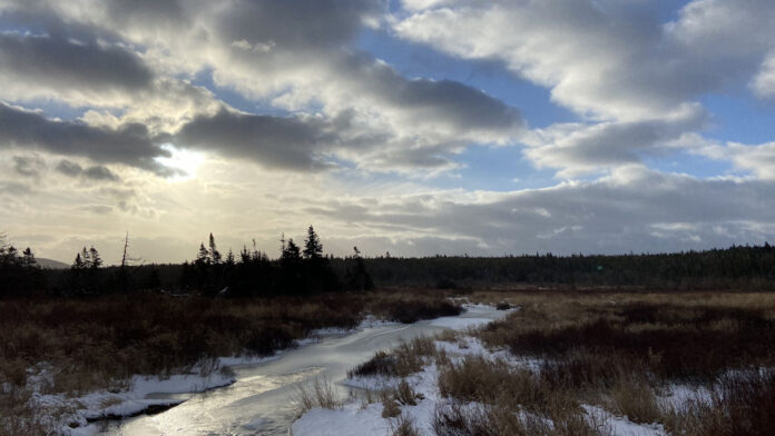 Ducks_Unlimited_Canada_Conserving_wild_spaces_in_Newfoundland_an