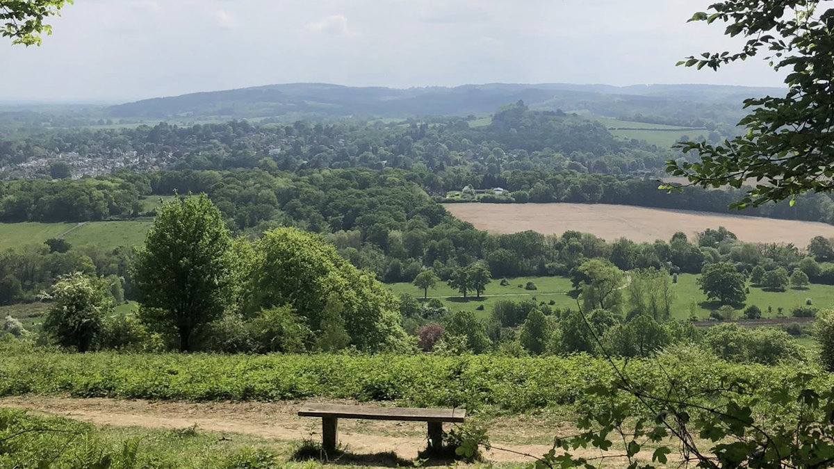 Mole Valley Spring Walk Festival