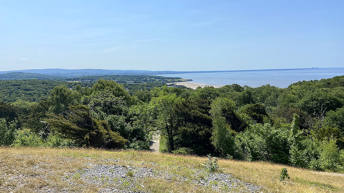 Natural England sets out vision for nature and growth