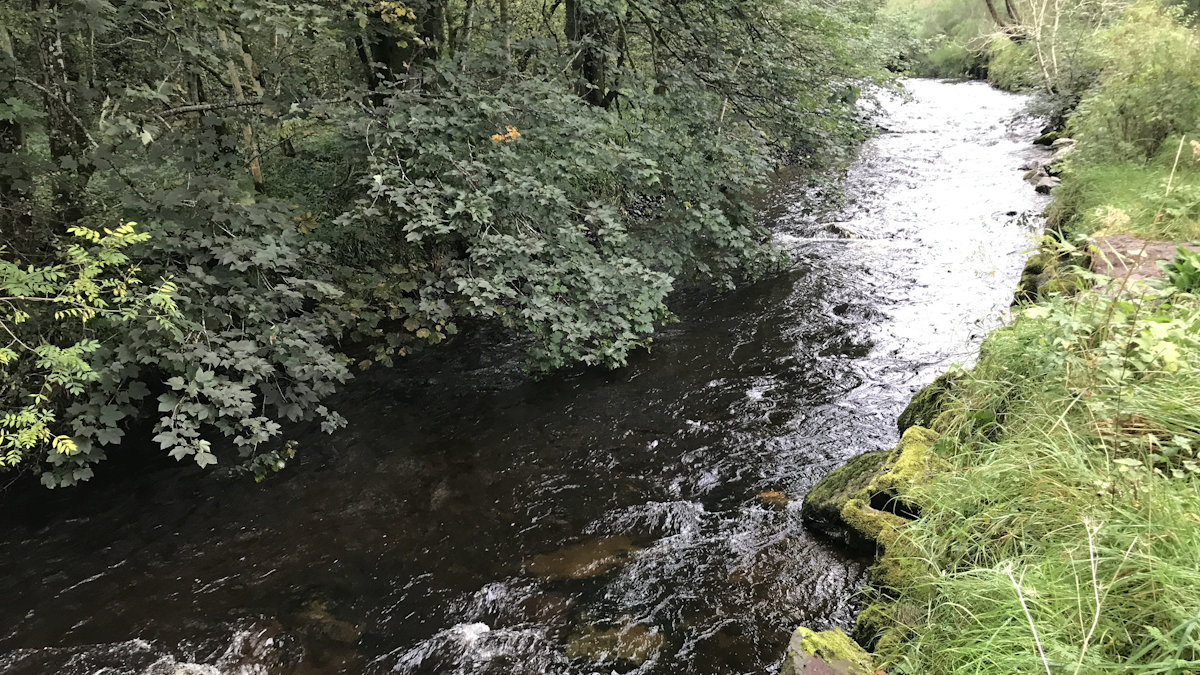 Destination Tweed looks for river stories