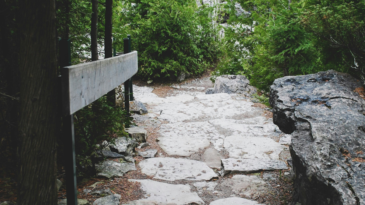 Bruce Trail land purchase applauded