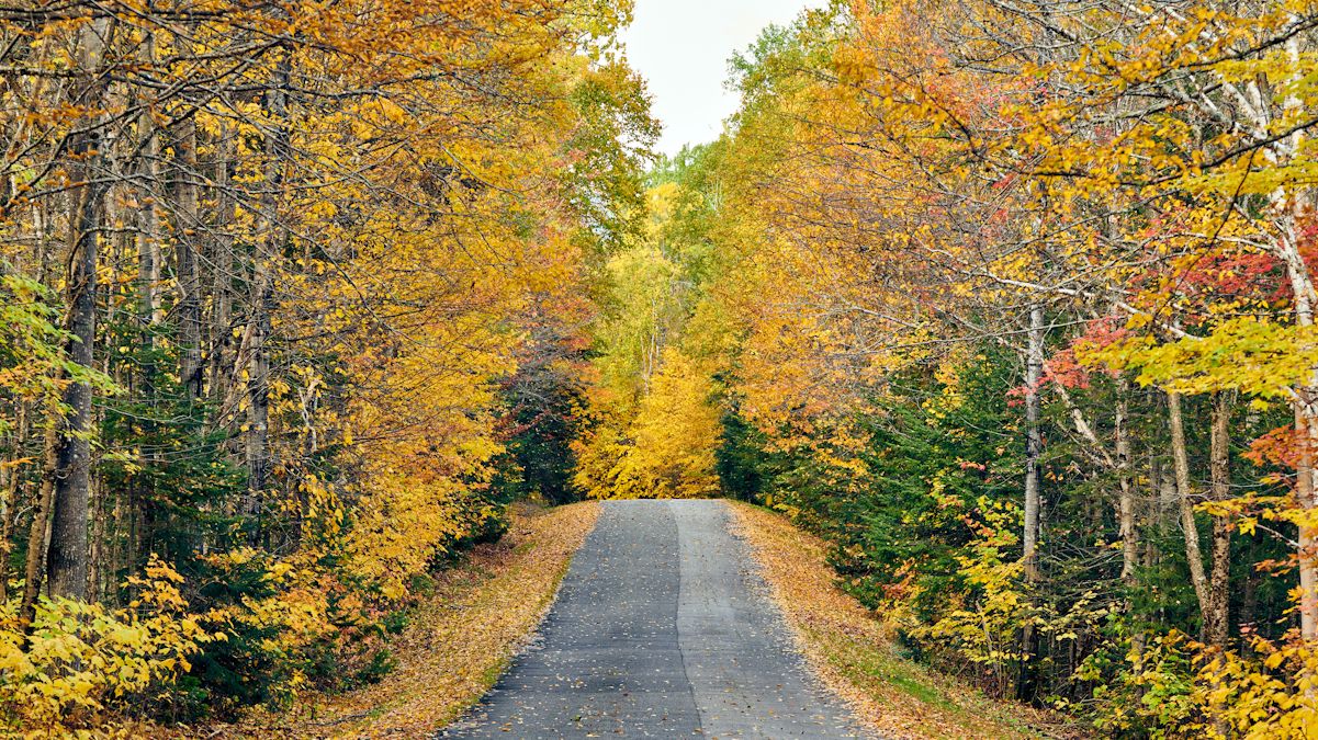 East Coast Greenway Alliance looks to double walking by 2030
