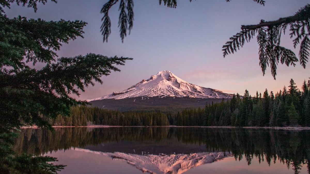 National Forest Foundation highlights US restoration projects