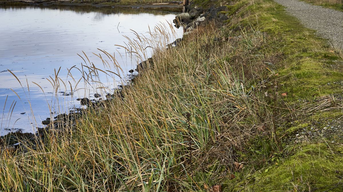 Canada invests in trails to benefit climate resilience and biodiversity