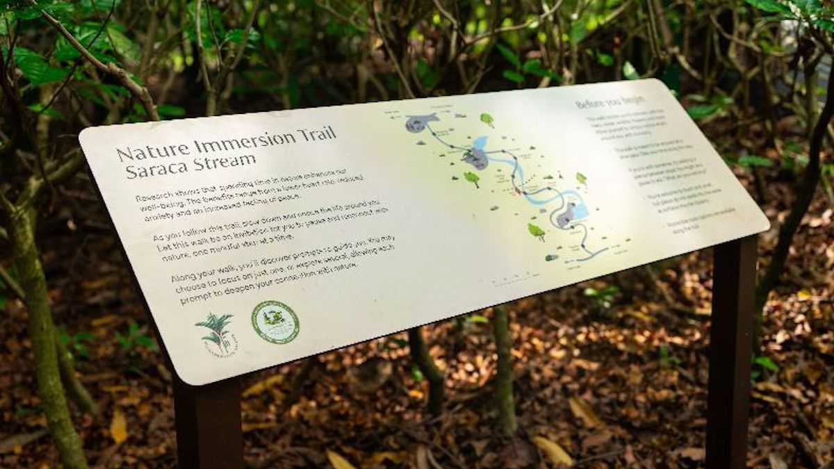Asia’s first certified Nature Immersion Trail opens in Singapore Botanic Gardens