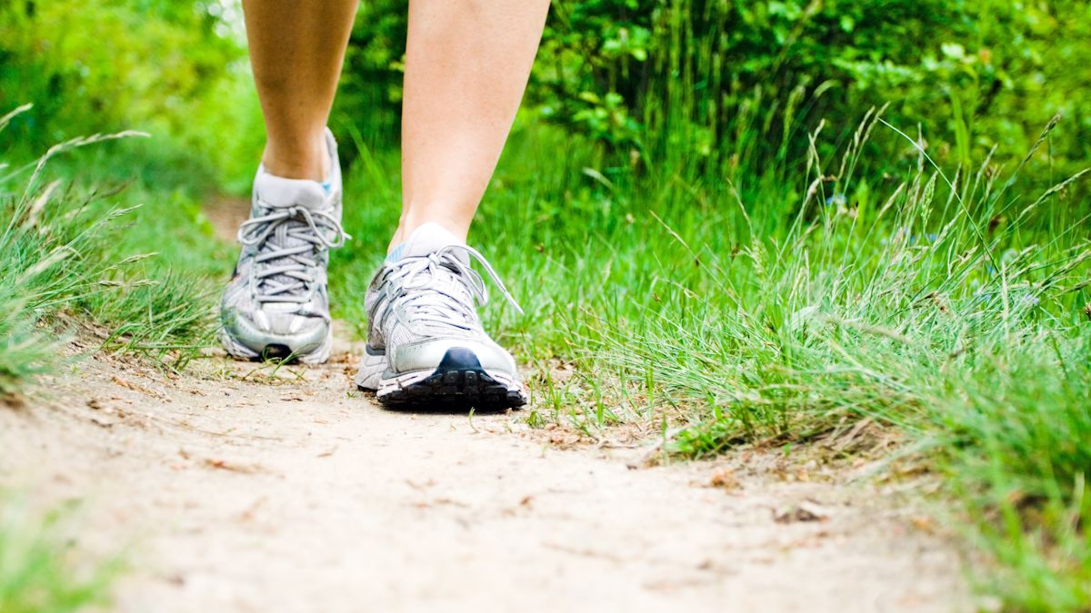 West Devon launches year-long walking and cycling programme