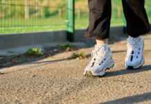 New weekly parkrun at Cockington Country Park