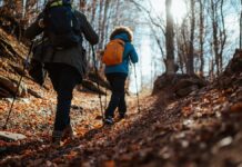 New partnership unlocks AllTrails benefits for REI Co-op members