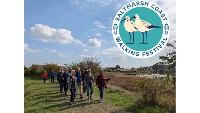 saltmarsh2