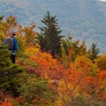 Boost for shoulder seasons as bookings boom