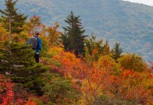 Boost for shoulder seasons as bookings boom