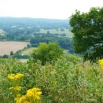 Surrey Hills National Landscape expansion proposed