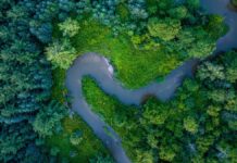 Report shows economic value of Trans Canada Trail