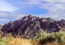 National Park Foundation invests $4.7m to connect students to parks